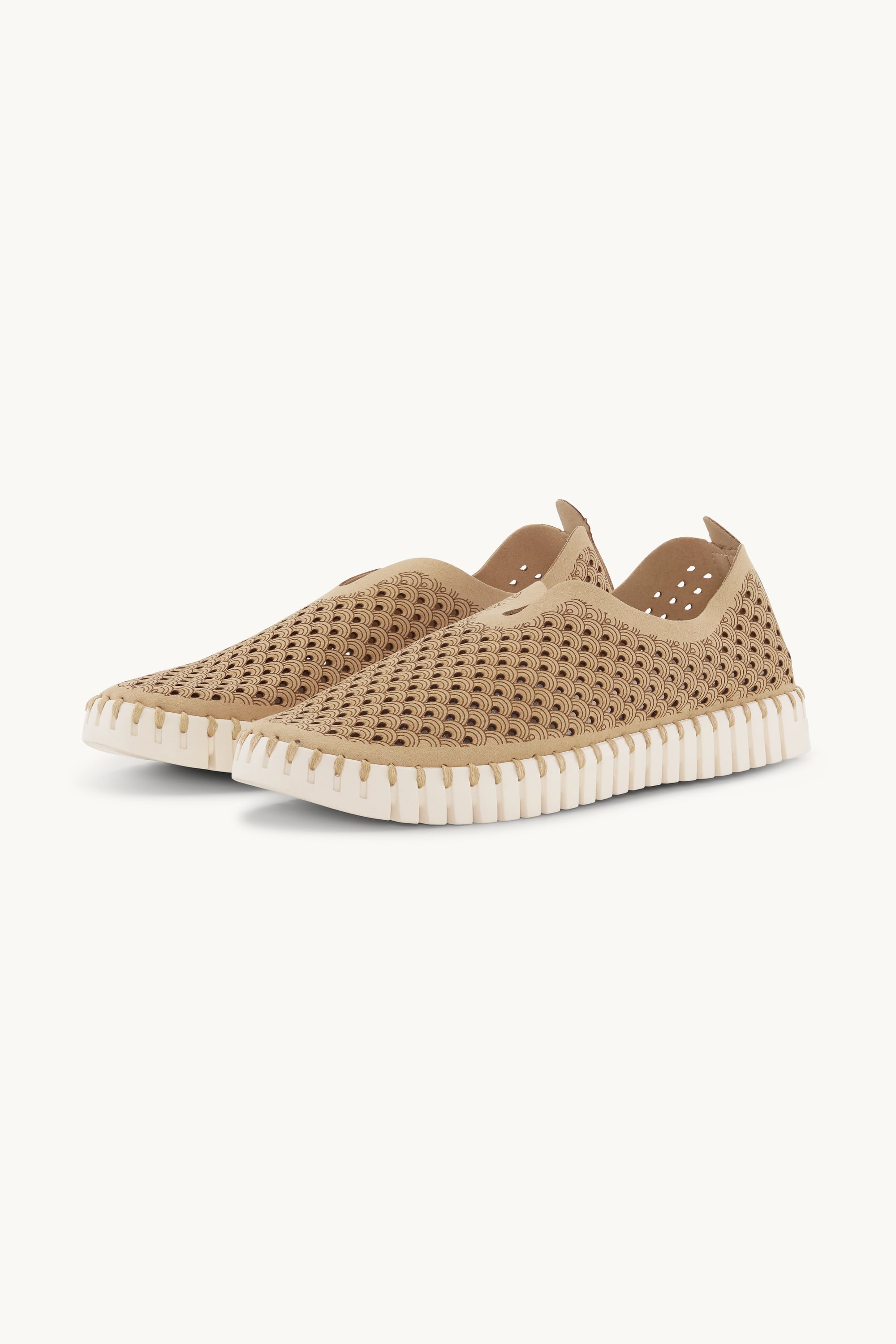 Tulip Flats - Latte