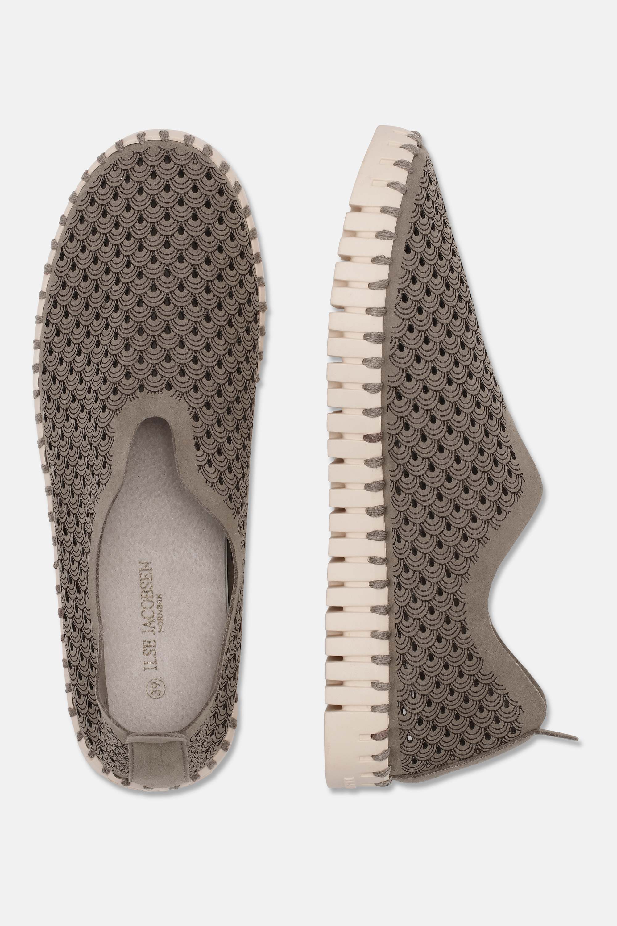 Tulip Flats - Falcon