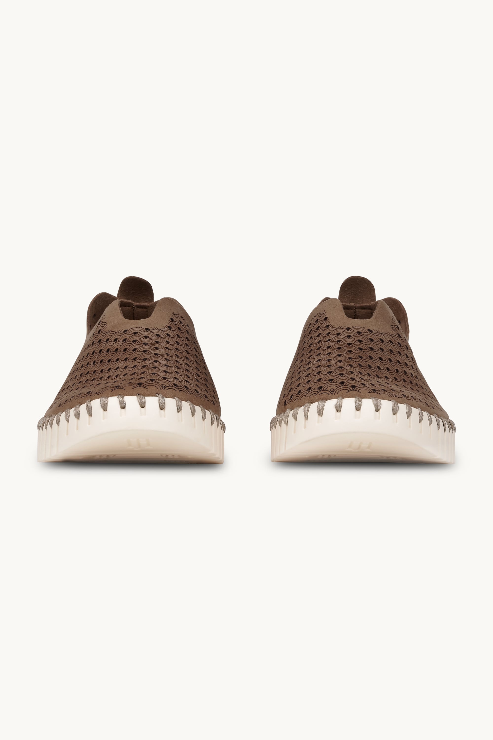 Tulip Flats - Mocca