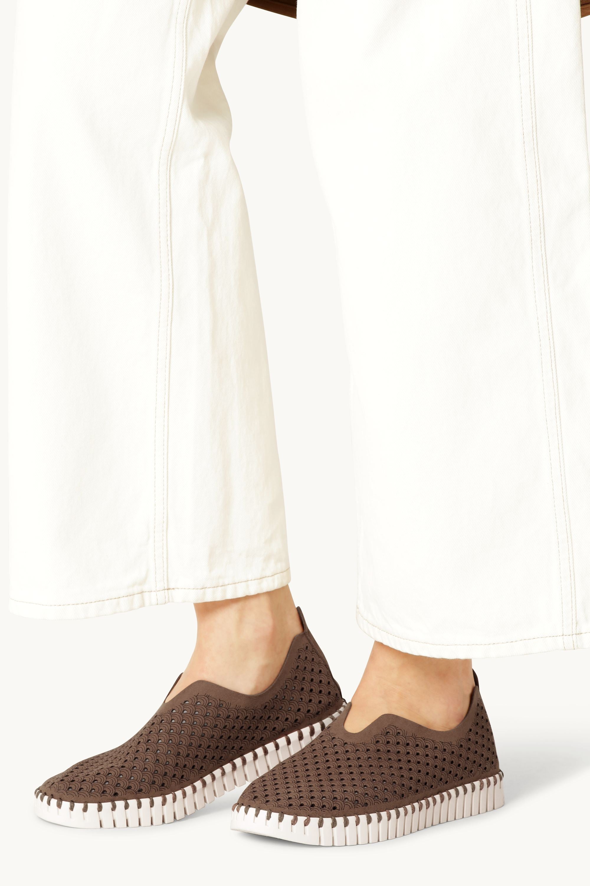 Tulip Flats - Mocca