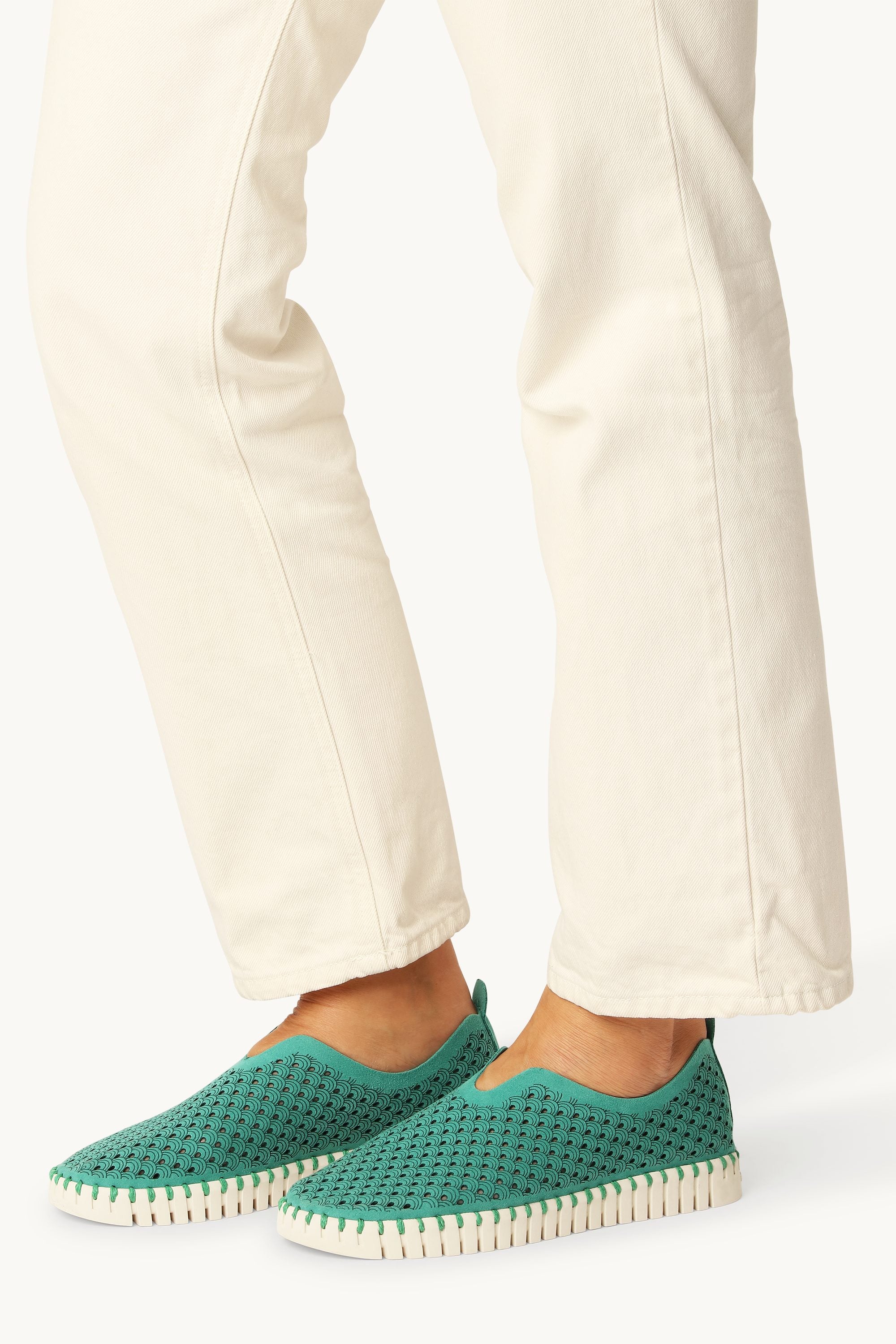 Tulip Flats - Spruce Pearled Ivory