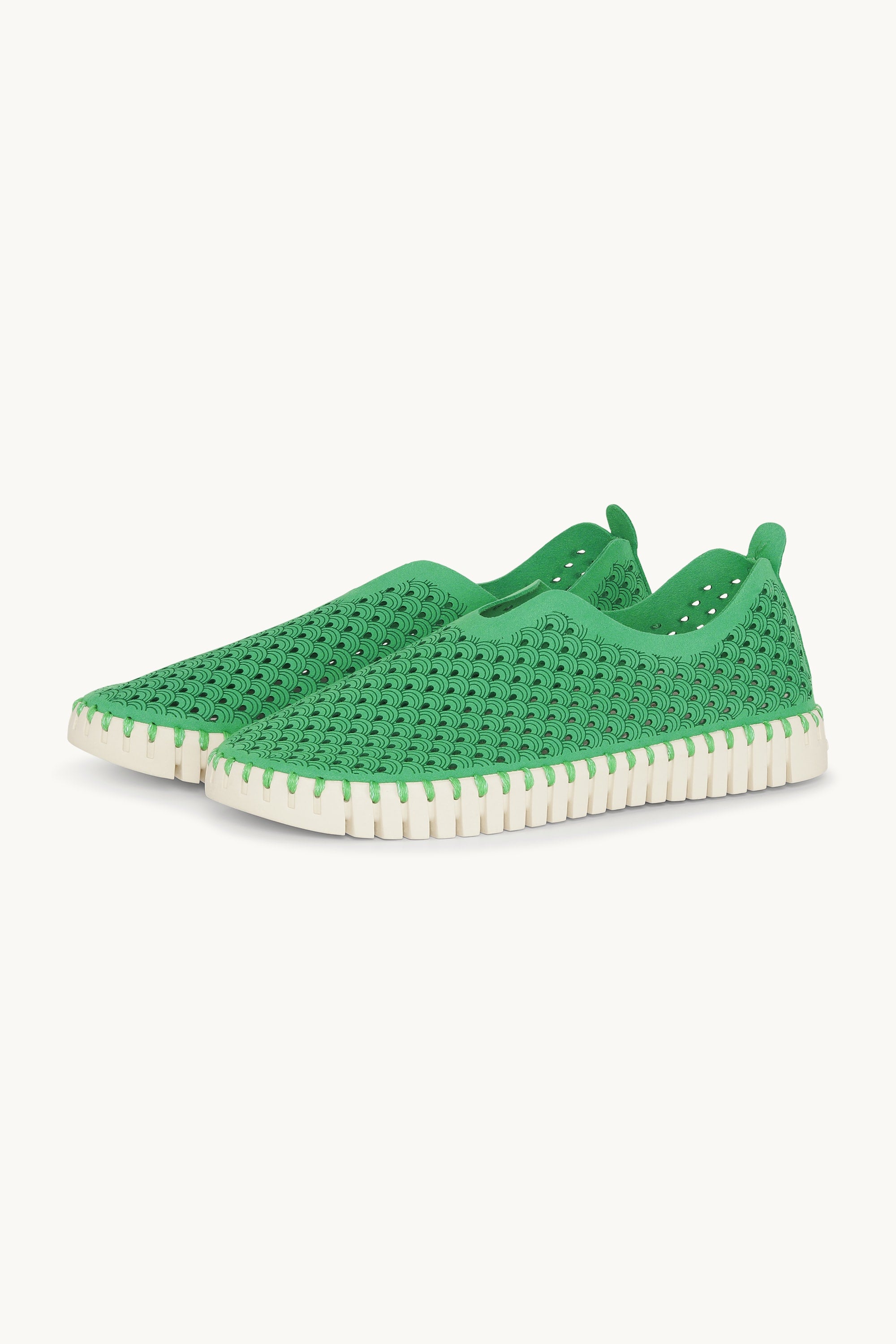 Tulip Flats - Fern Green