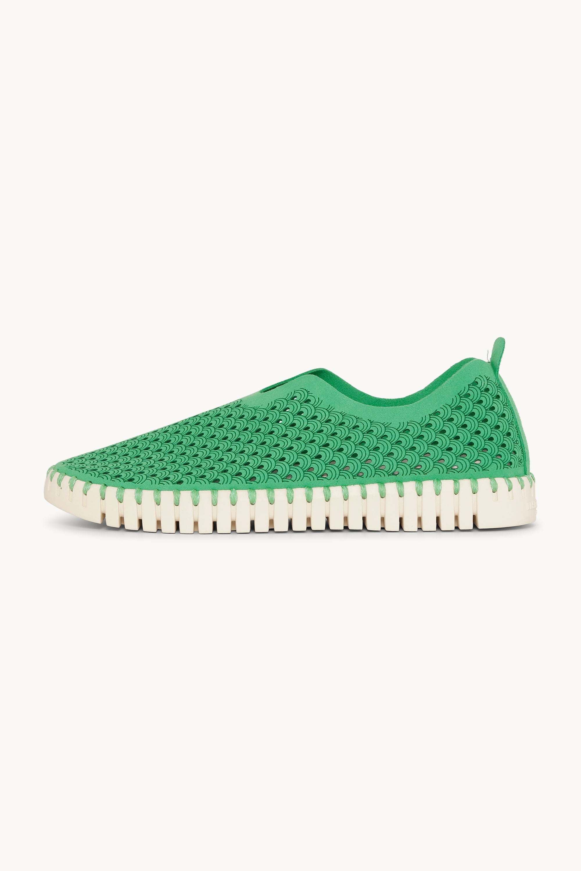 Tulip Flats - Fern Green
