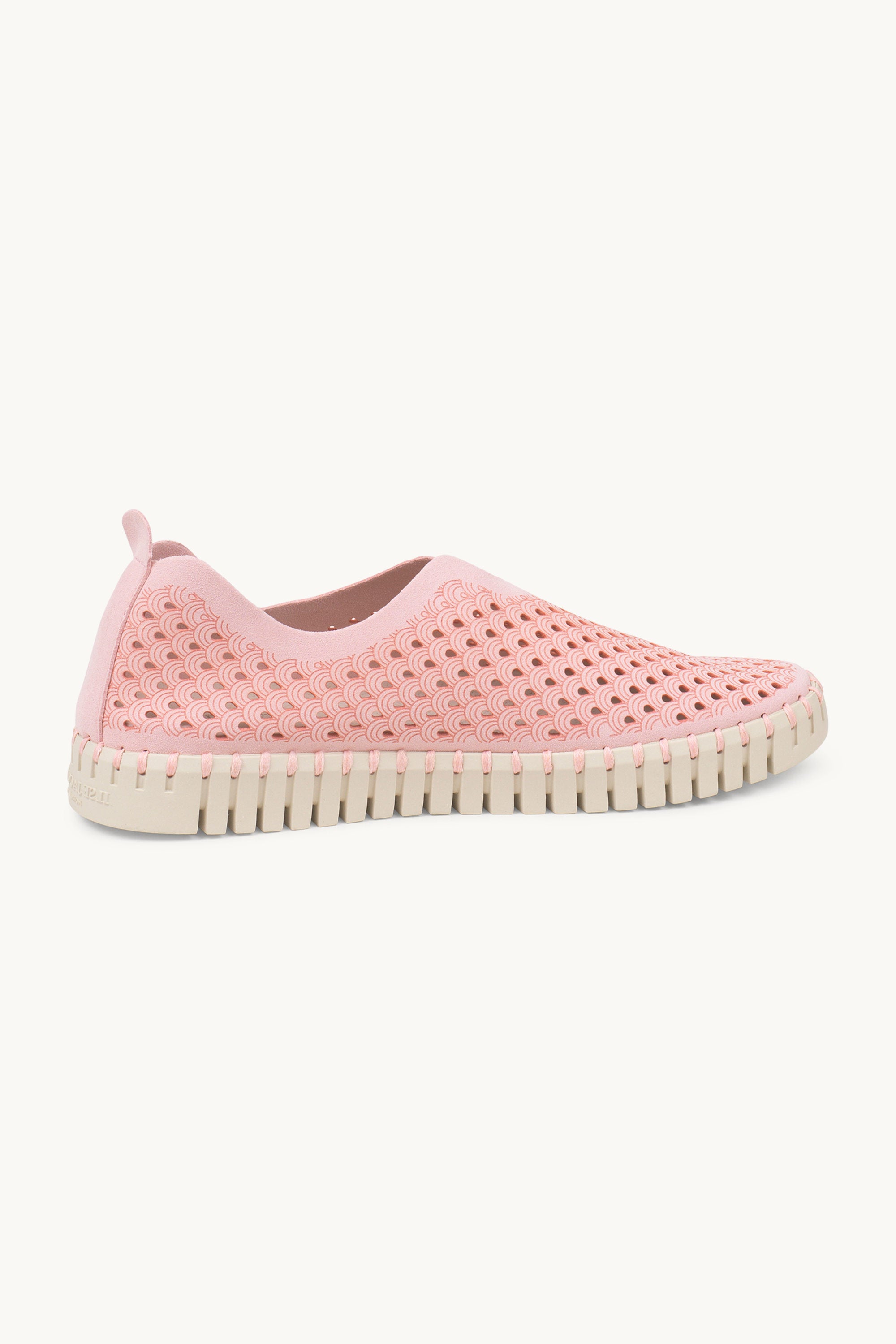Tulip Flats - Ballerina