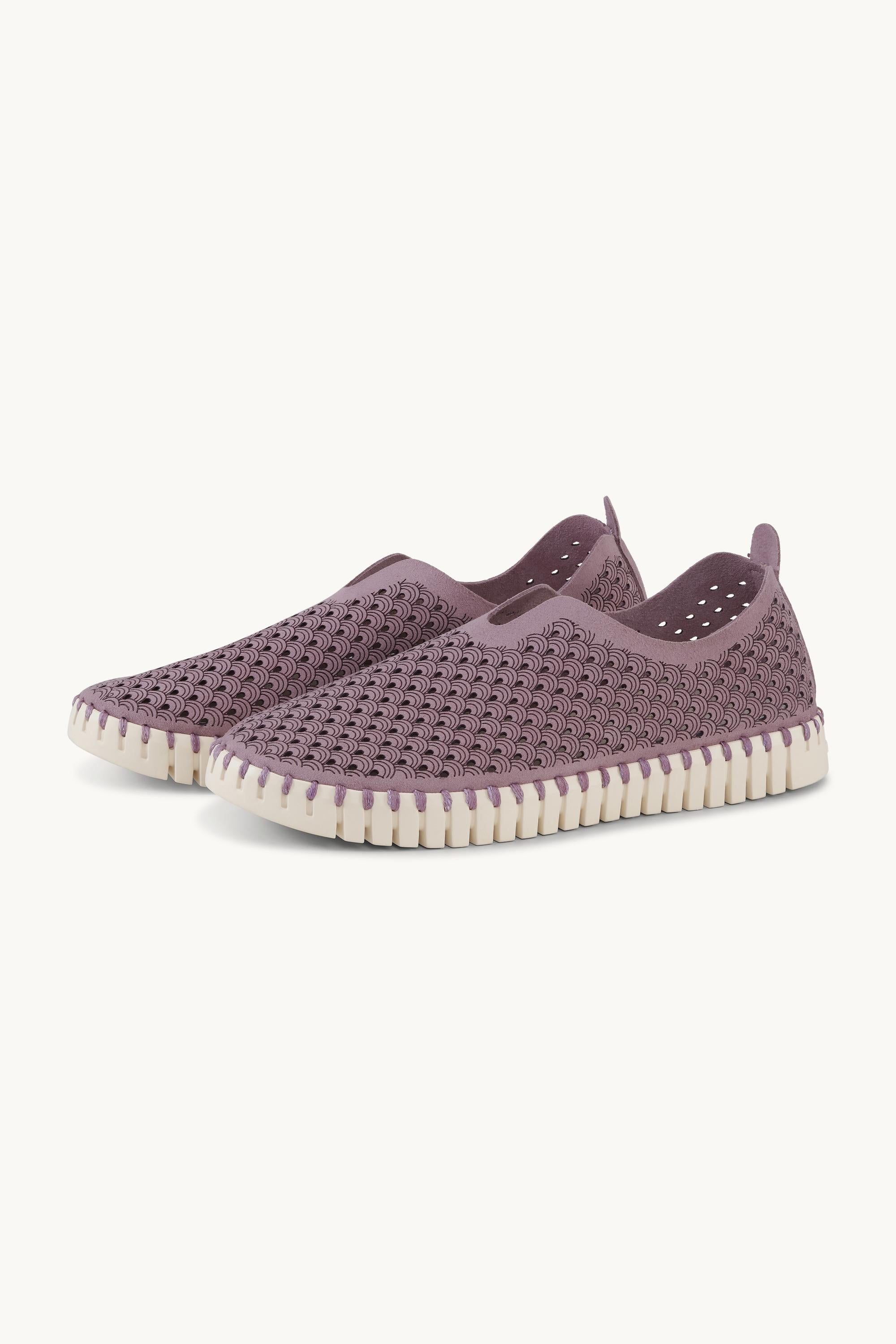 Tulip Flats - Mauve Shadows
