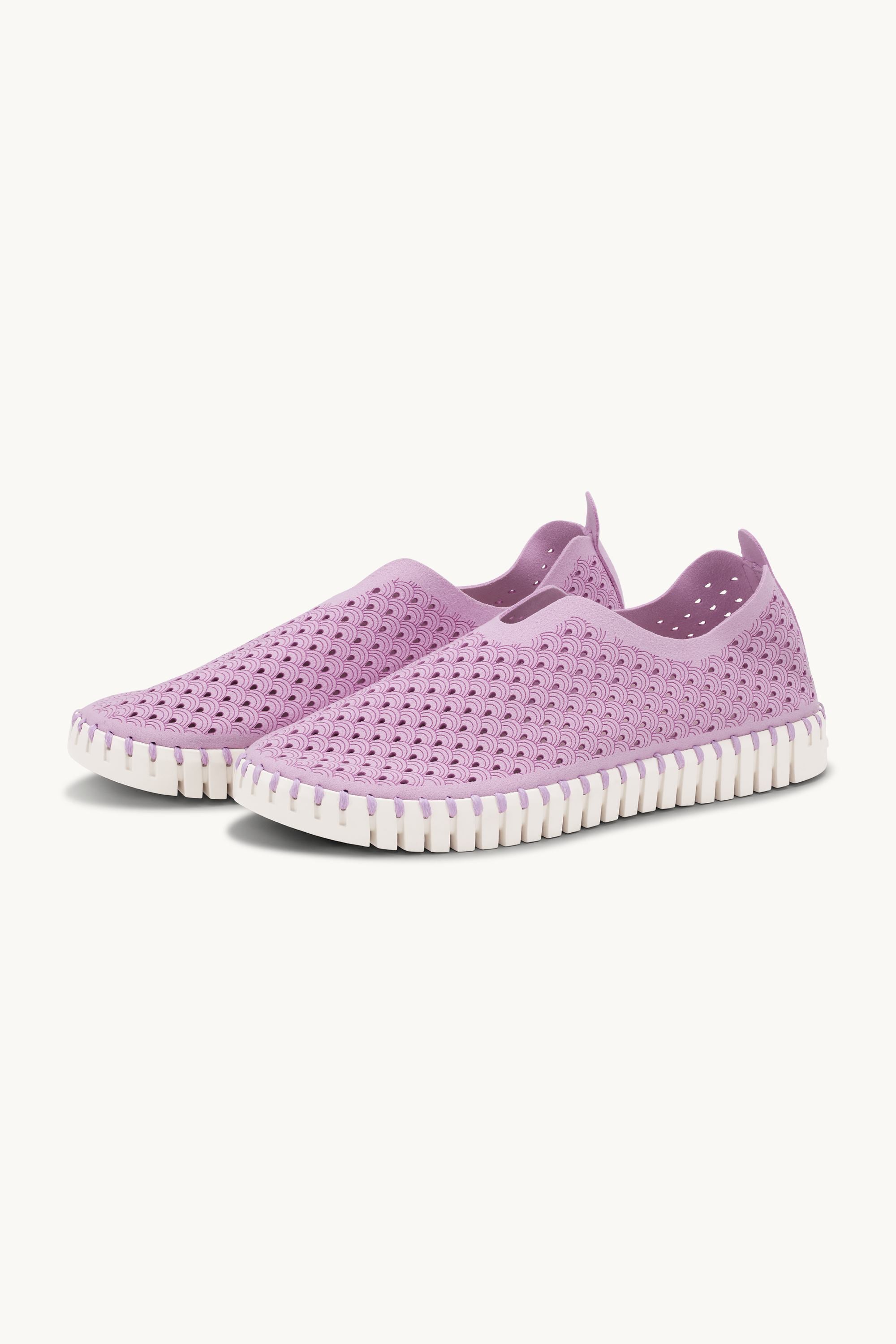 Tulip Flats - Bubble
