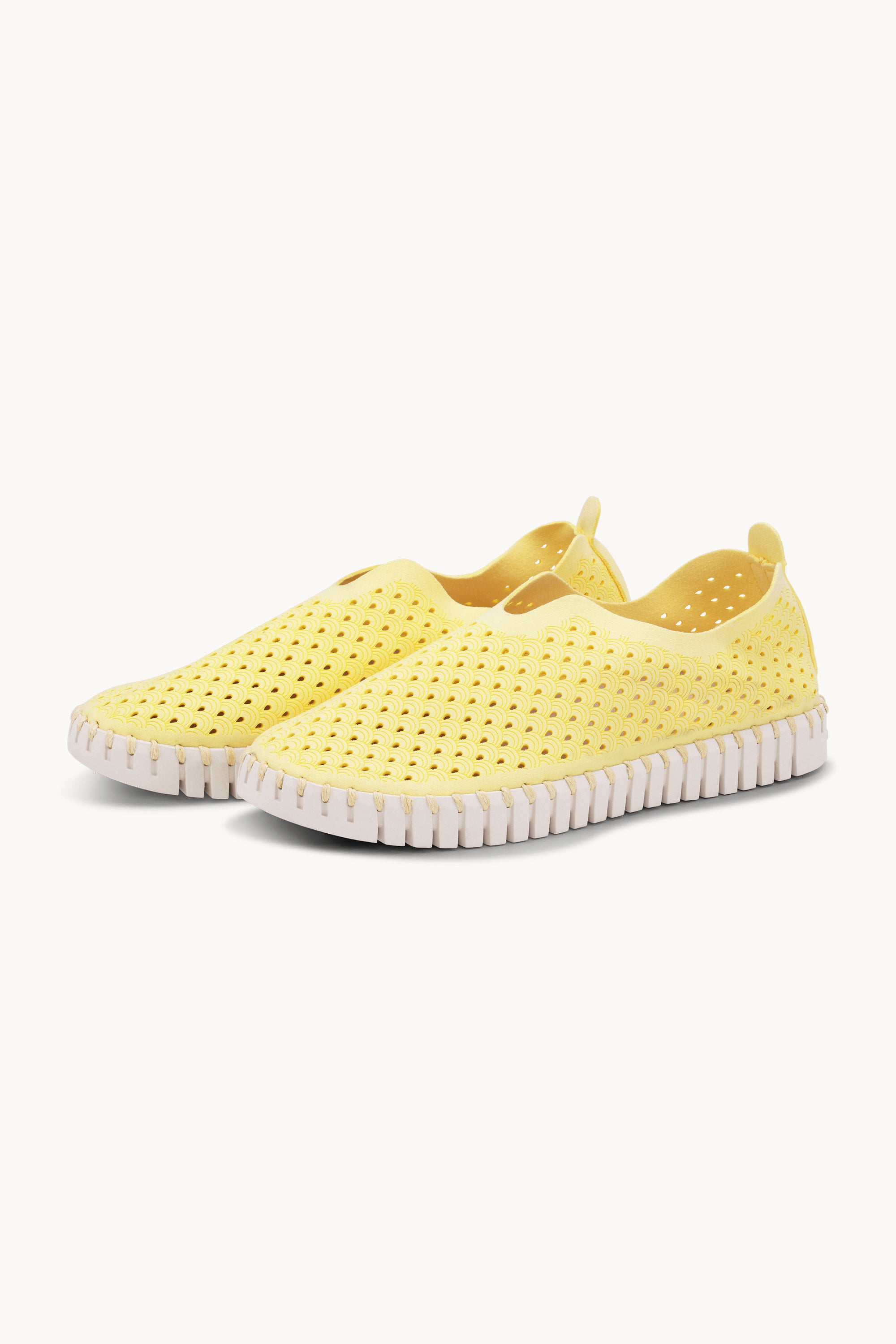 Tulip Flats - Lemon Drop