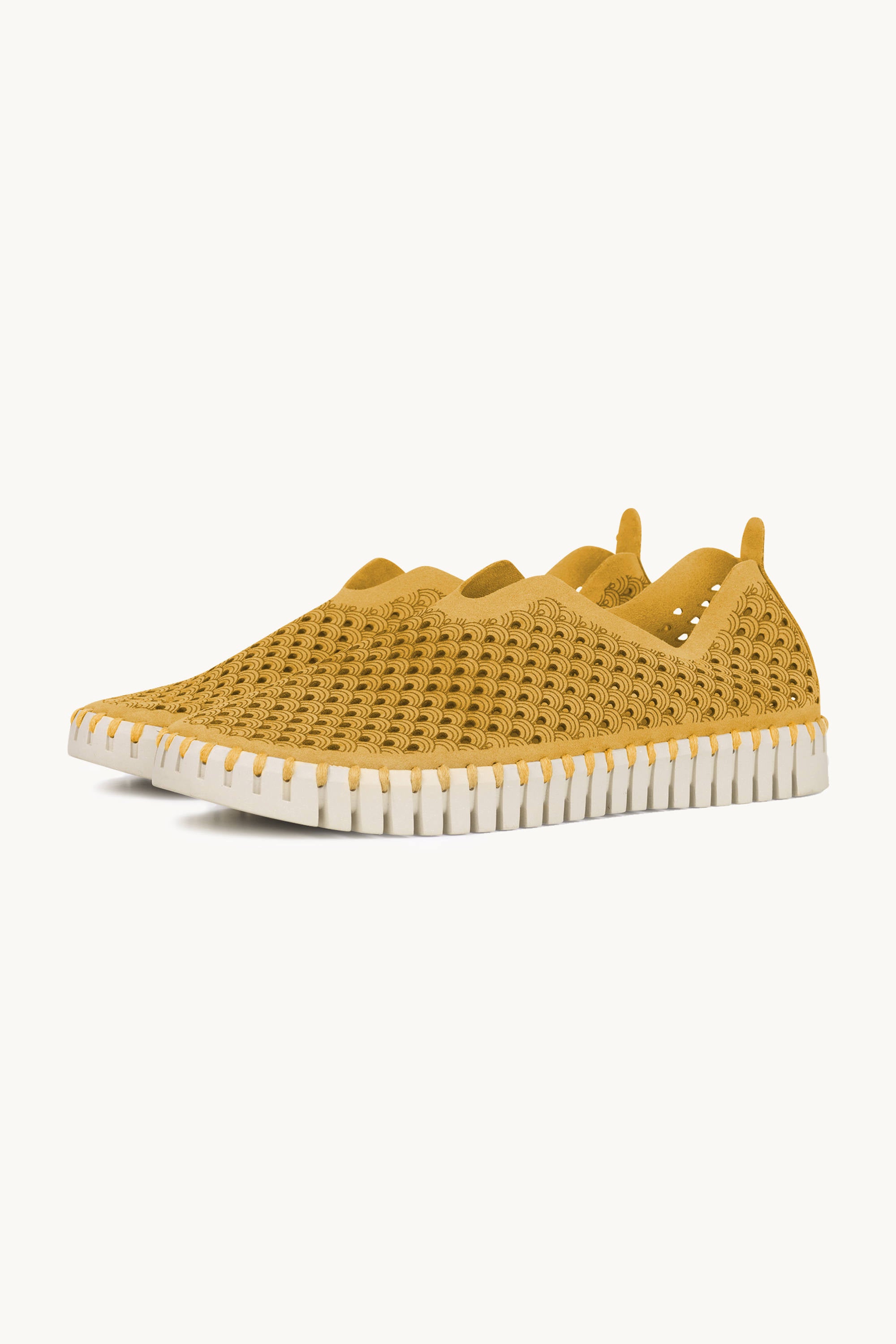 Tulip Flats - Golden Rod