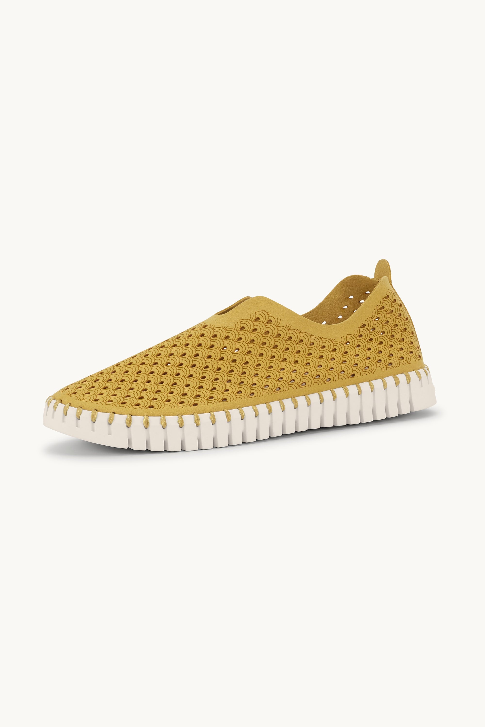 Tulip Flats - Golden Rod