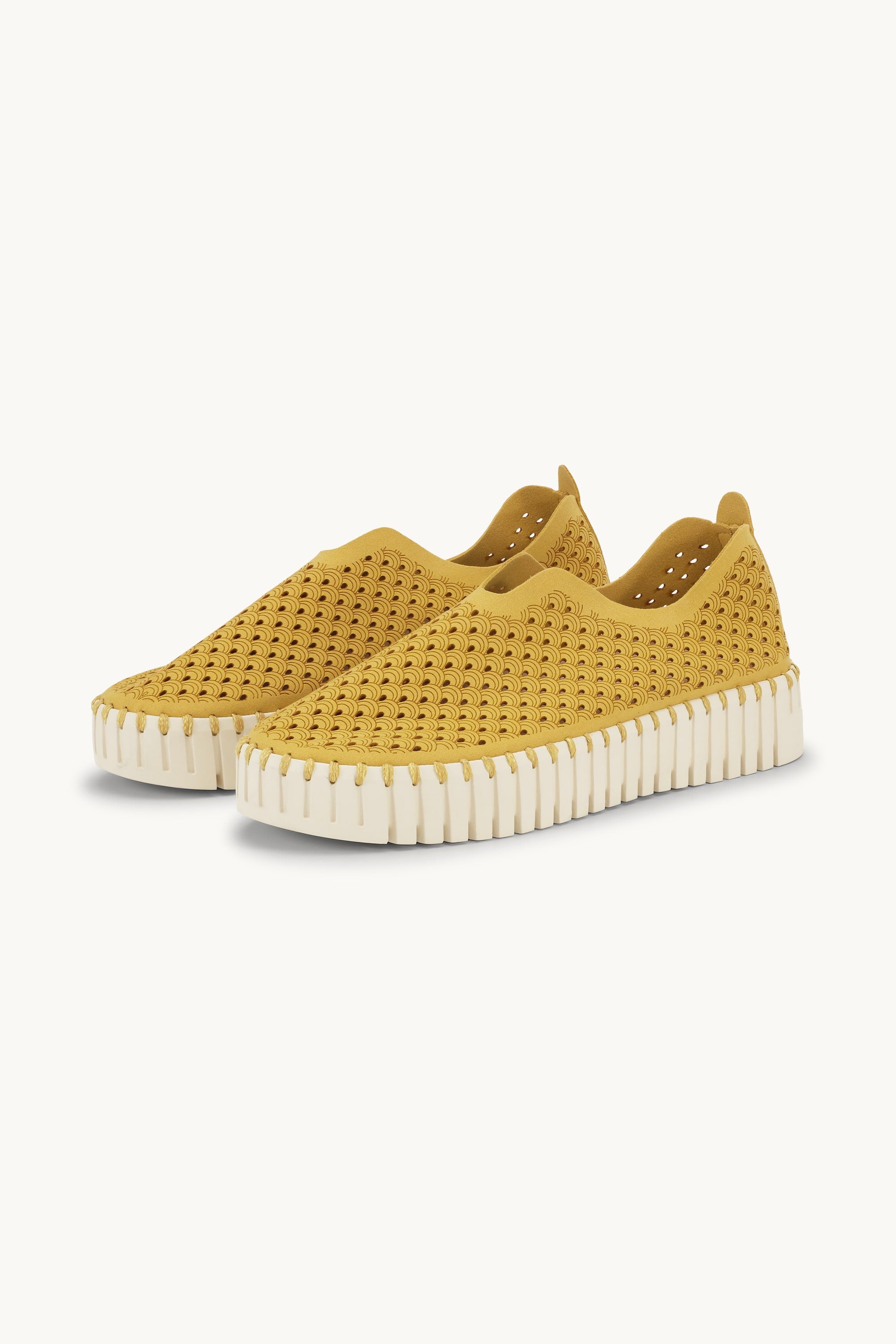 Platform Tulip Flats - Golden Rod