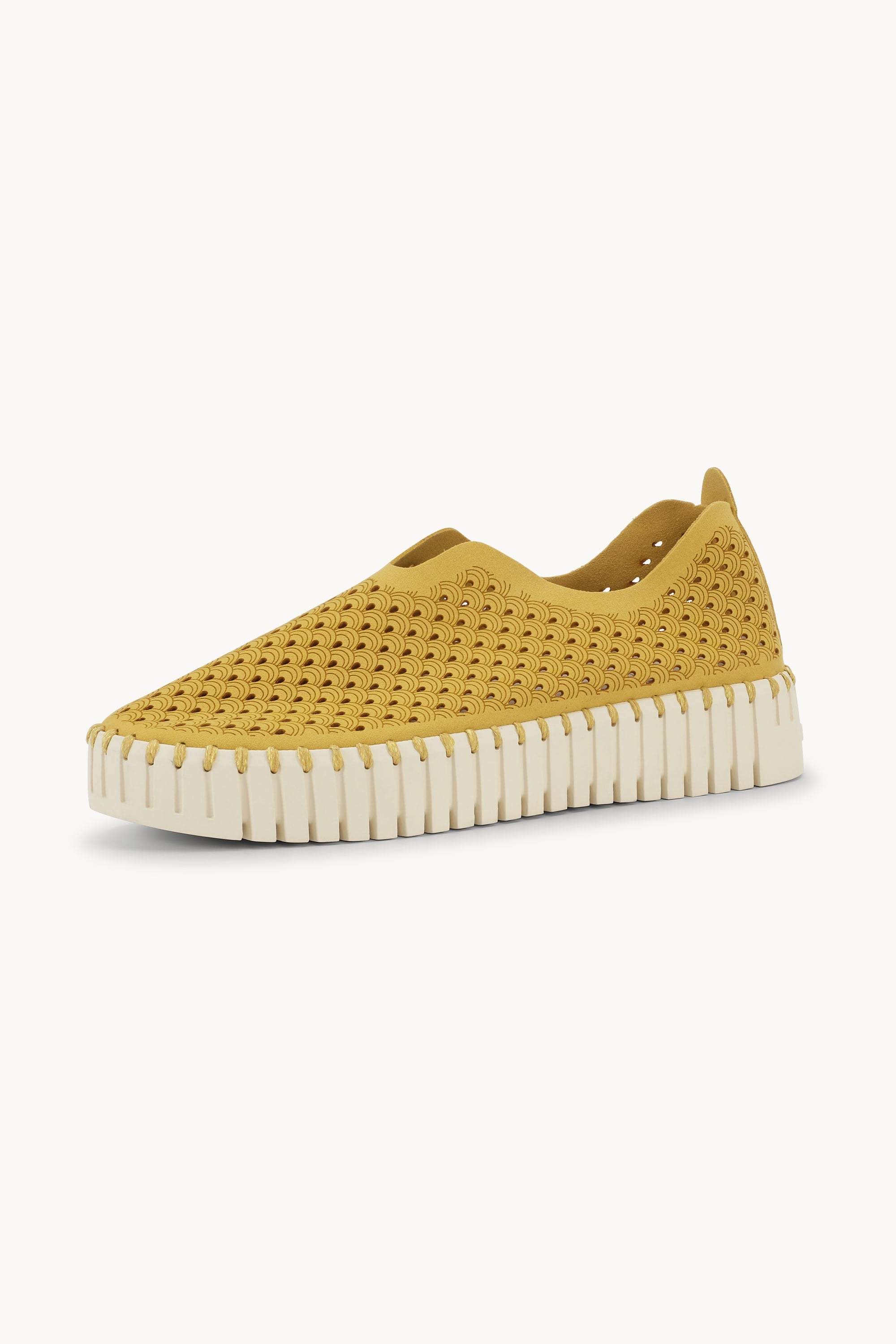Platform Tulip Flats - Golden Rod