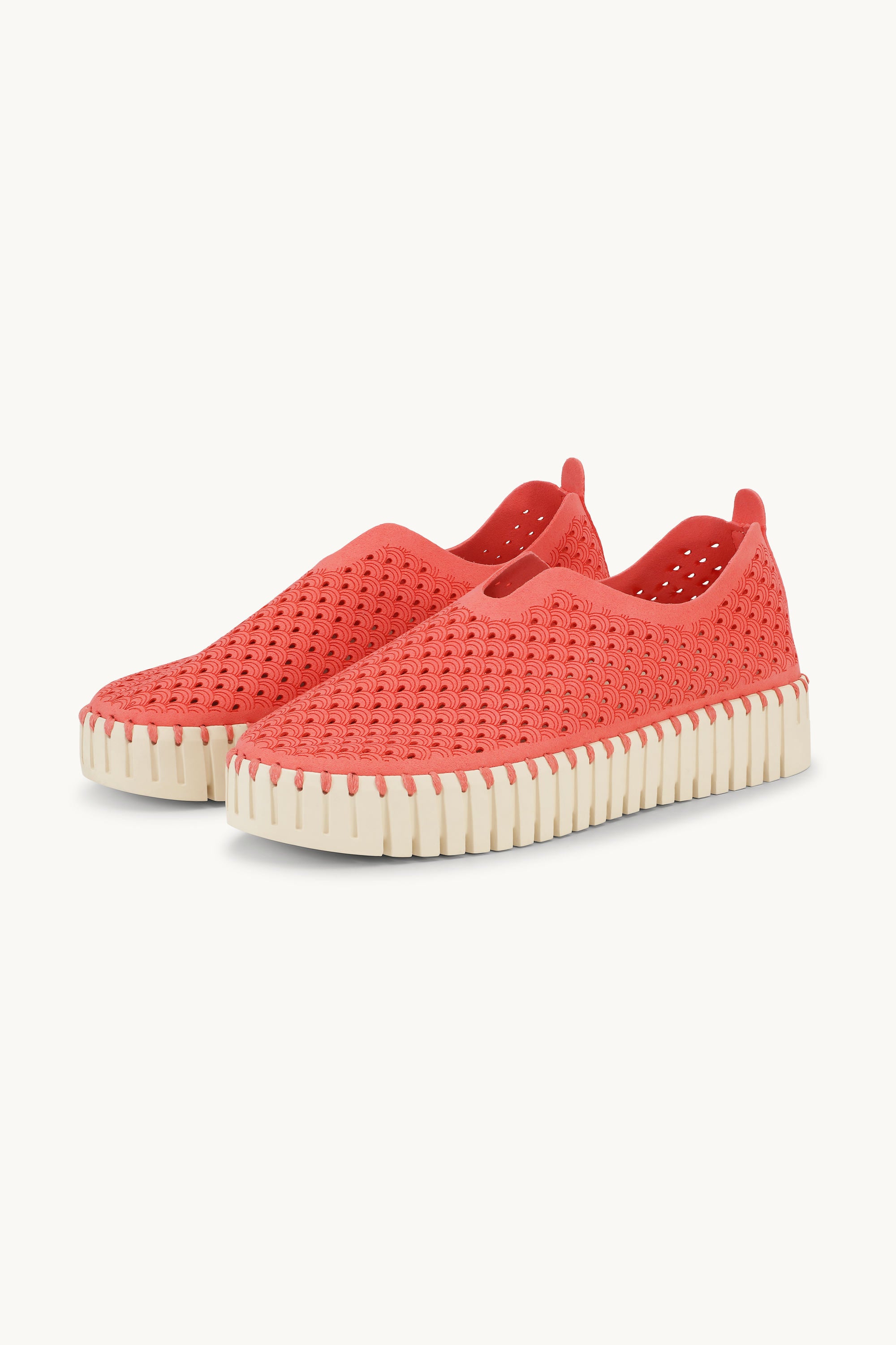 Platform Tulip Flats - Raspberry