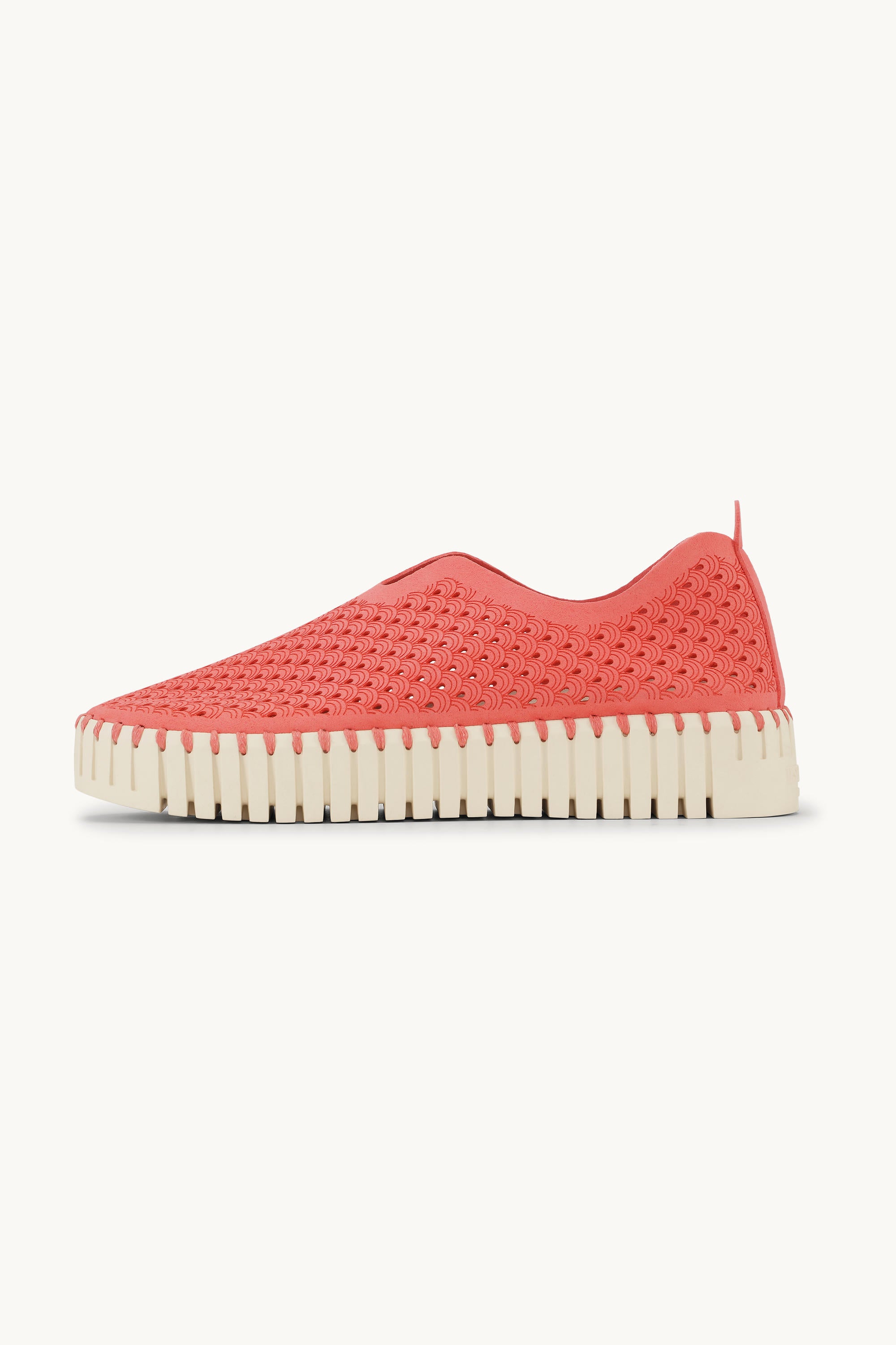 Platform Tulip Flats - Raspberry