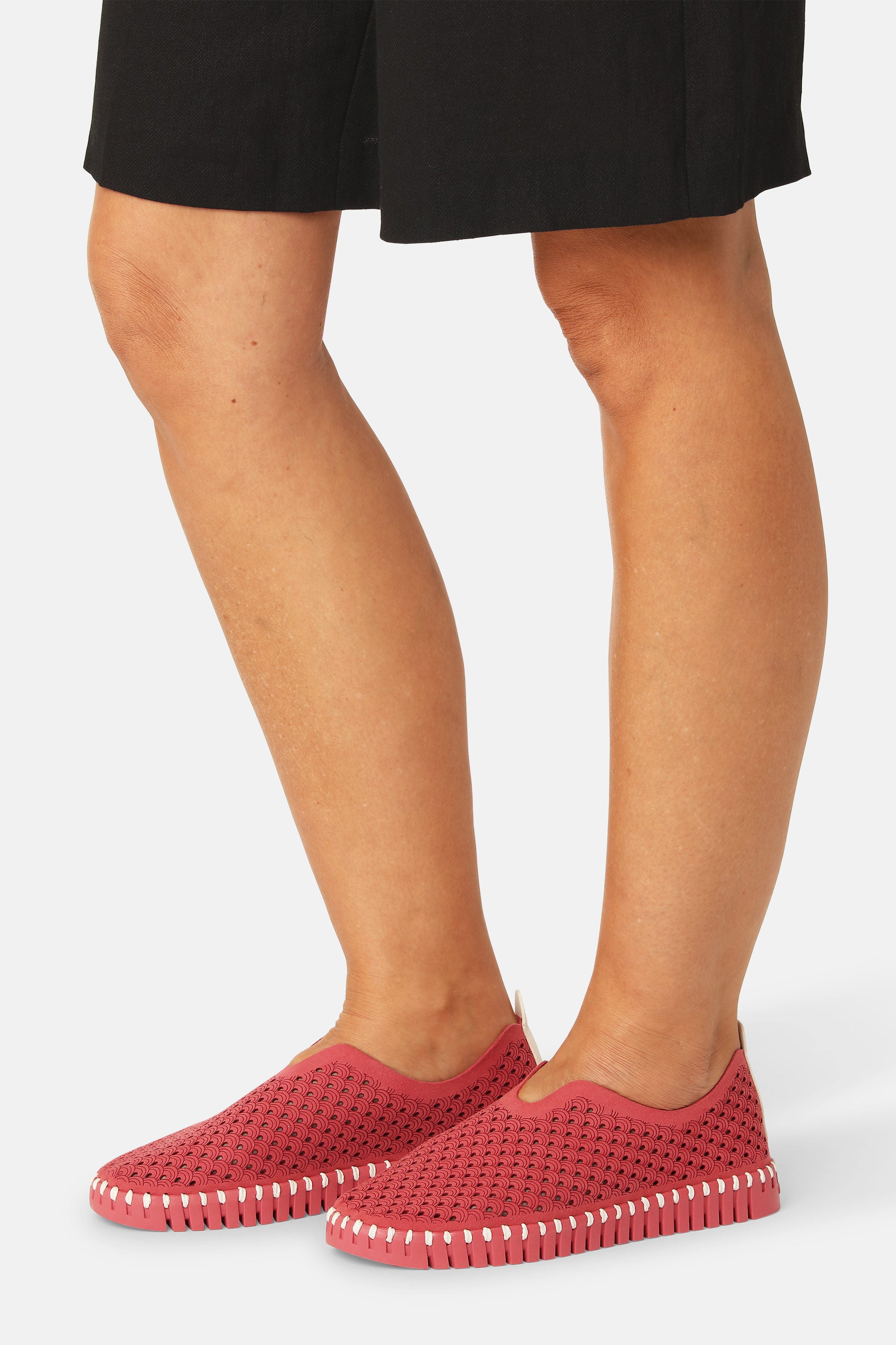 Tulip Flats - Baked Apple Baked Apple