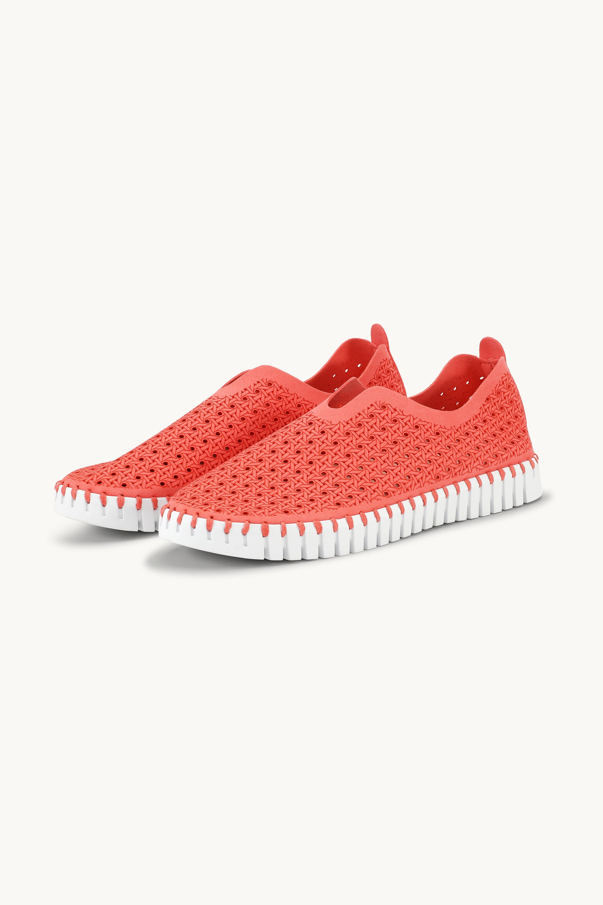 Tulip Flats - Raspberry White