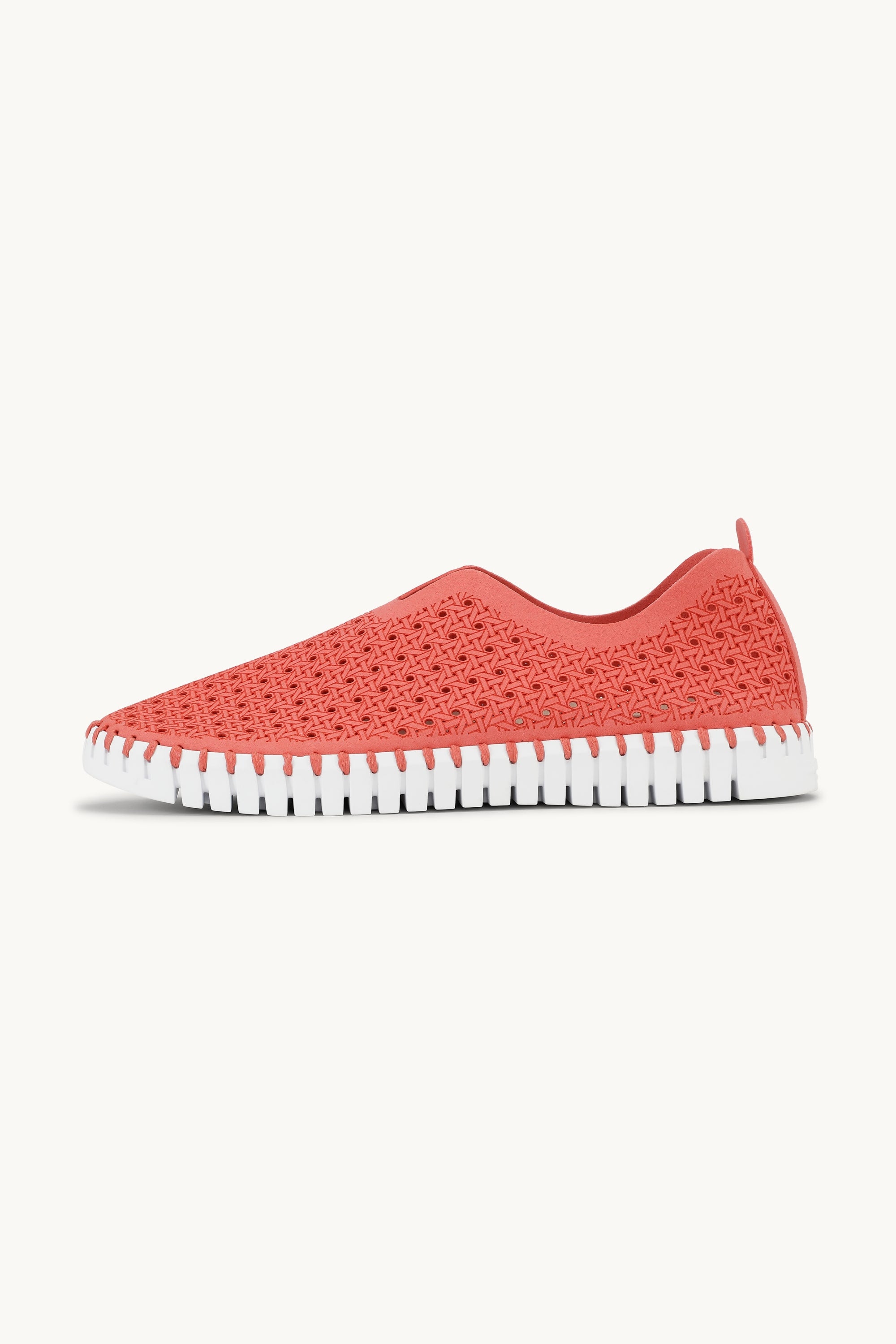 Tulip Flats - Raspberry White