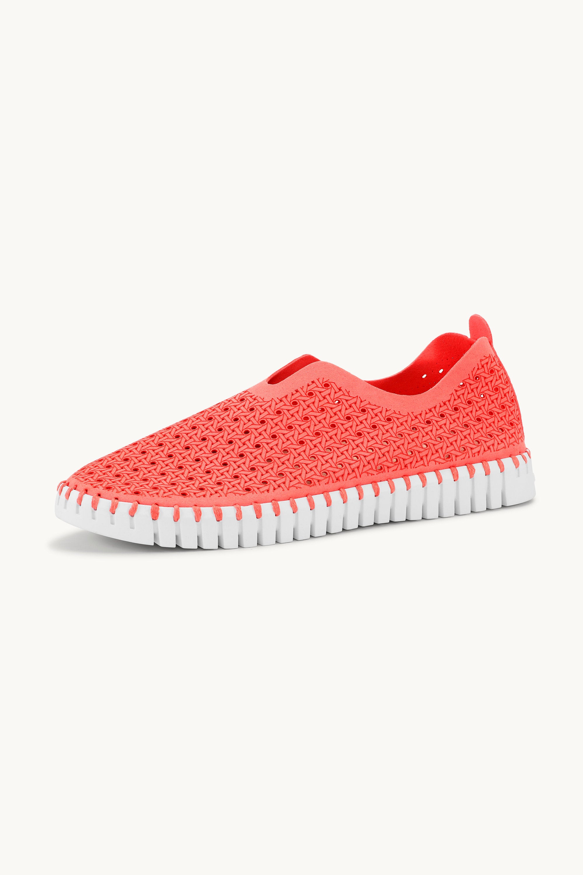 Tulip Flats - Raspberry White