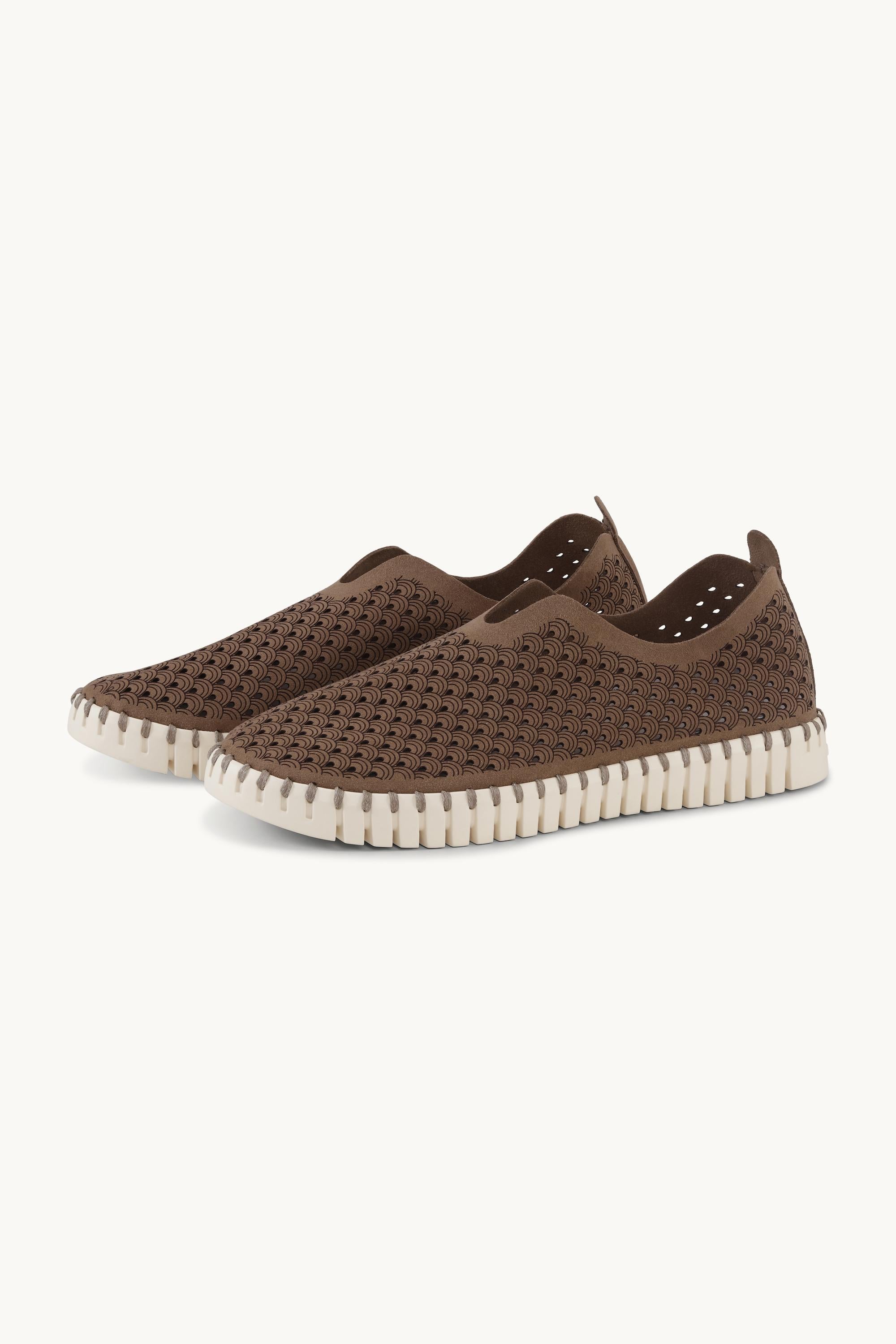 Tulip Flats - Mocca