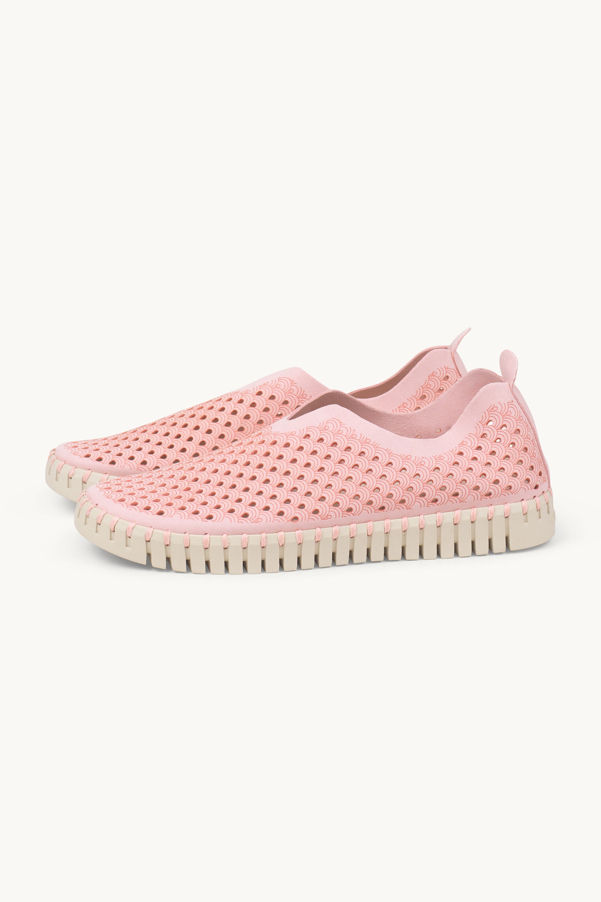 Tulip Shoe - Ballerina