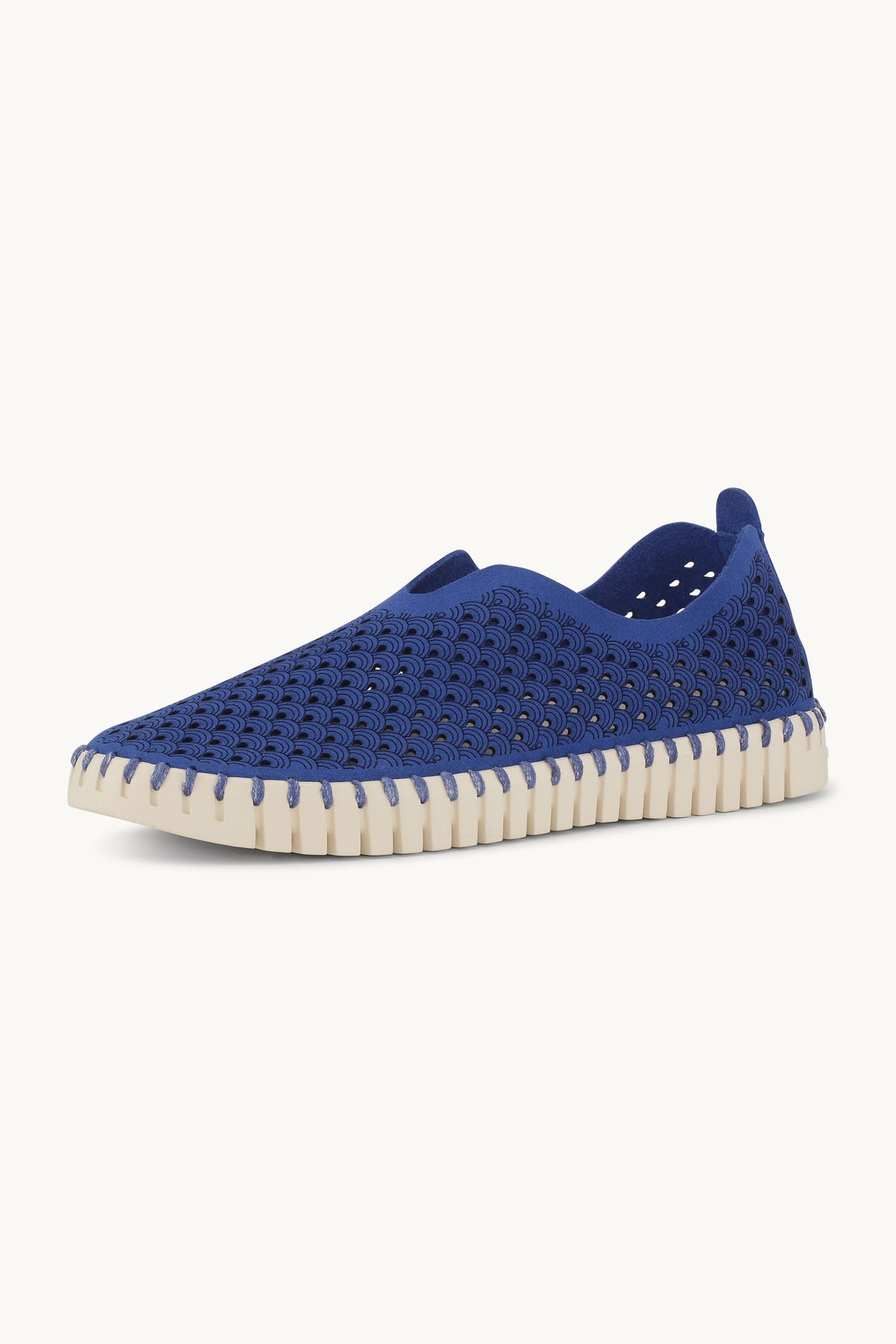 Tulip Shoe - Blue Web