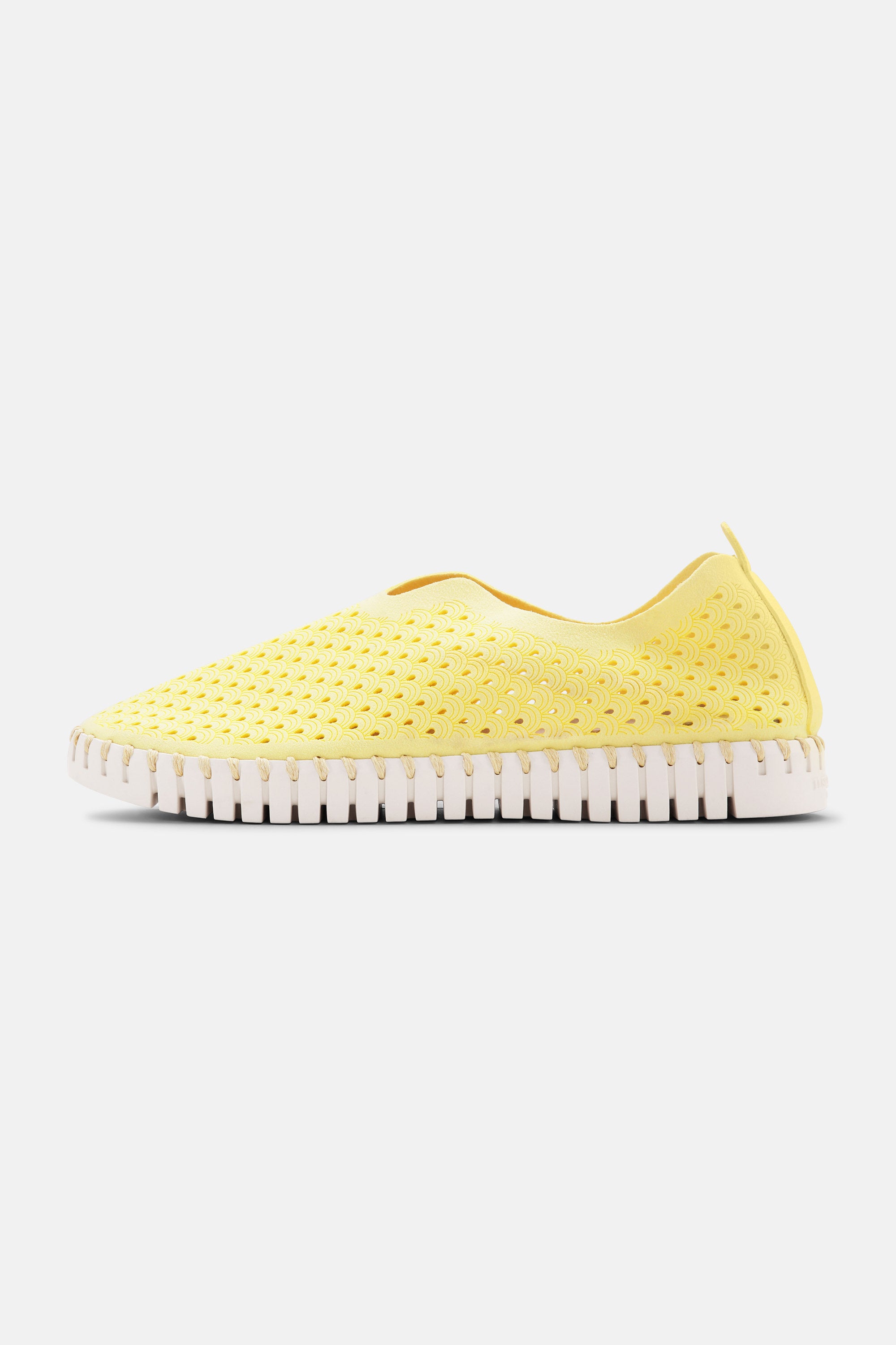 Tulip Flats - Lemon Drop