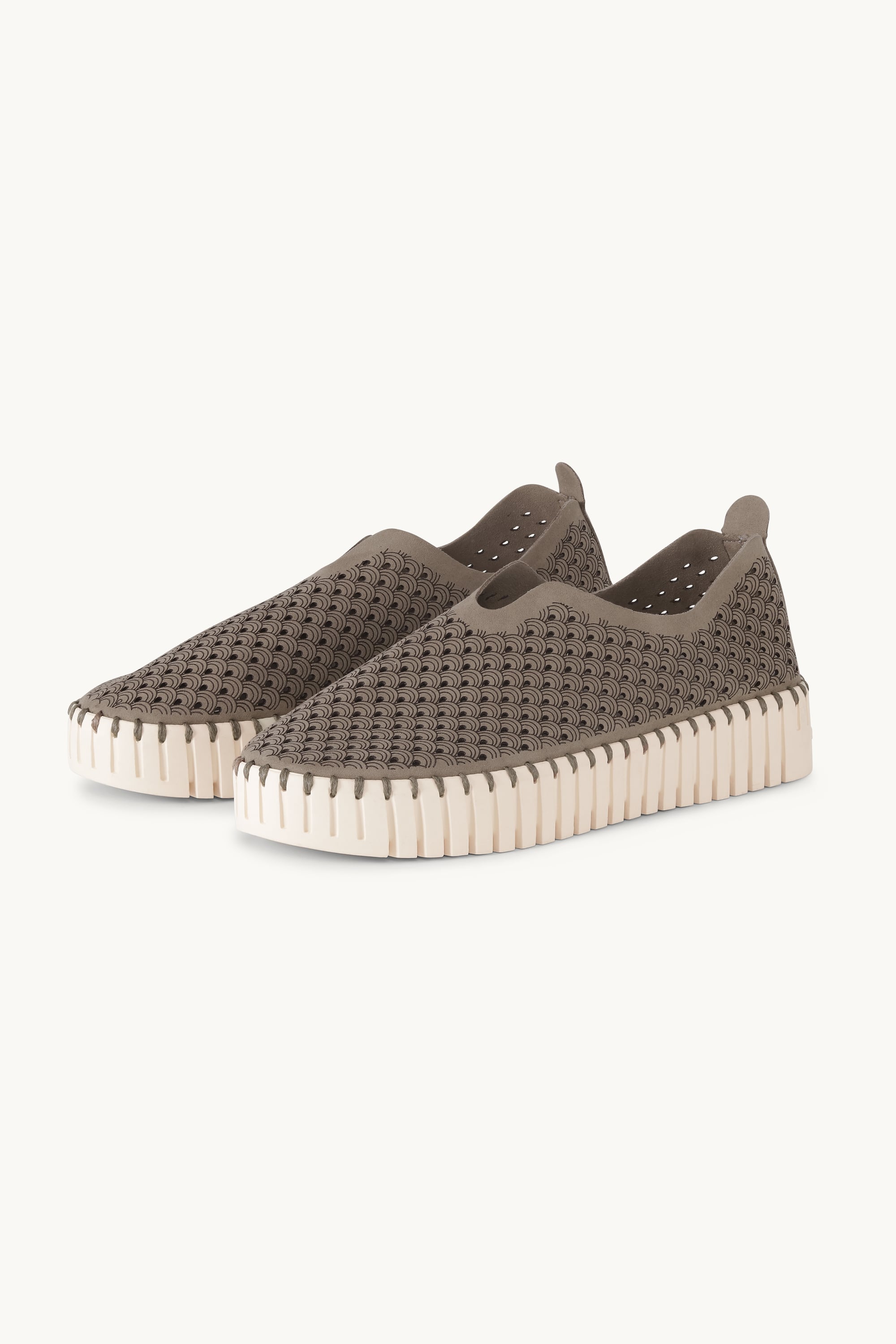 Platform Tulip Flats - Falcon