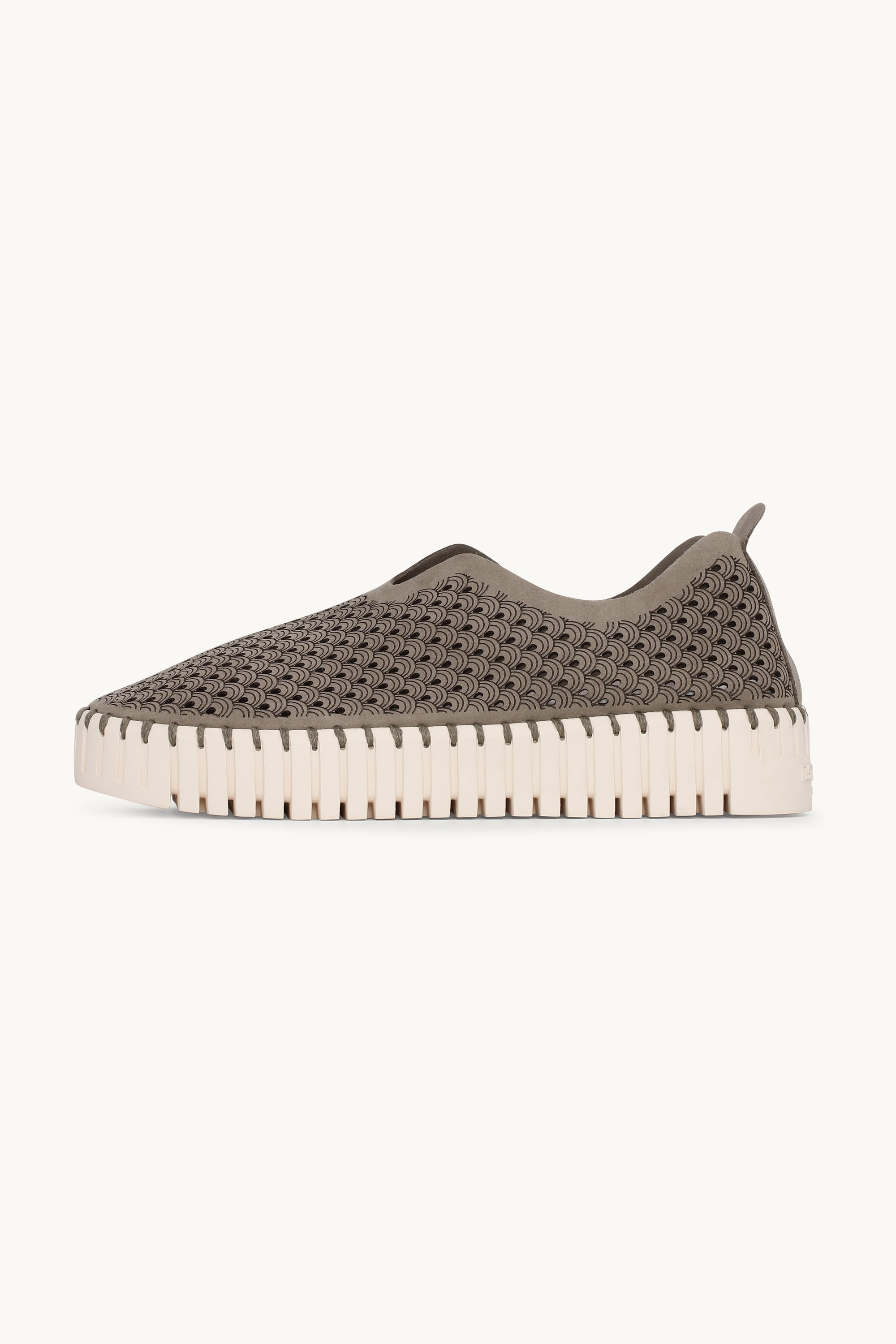 Platform Tulip Flats - Falcon