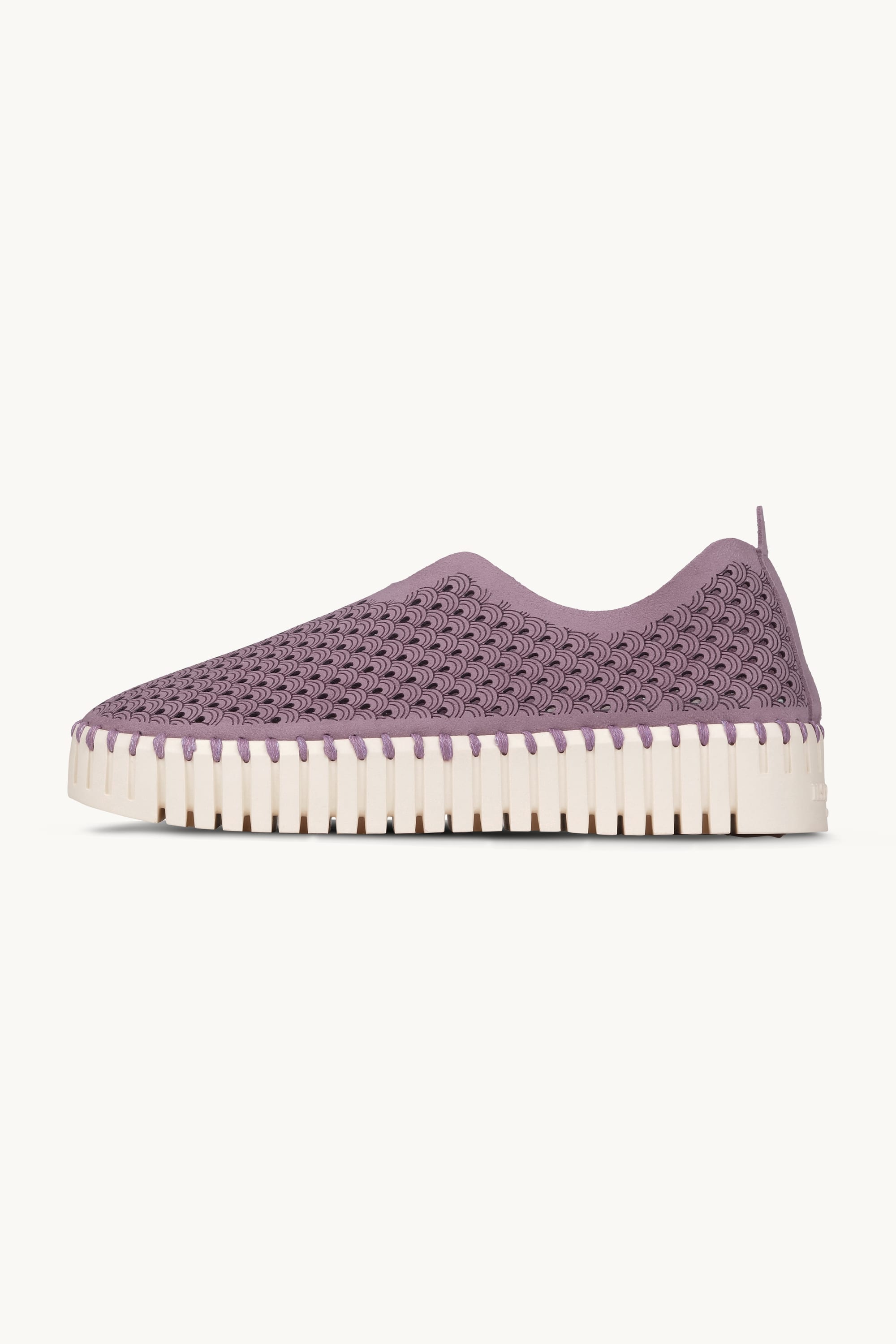 Platform Tulip Flats - Mauve Shadows