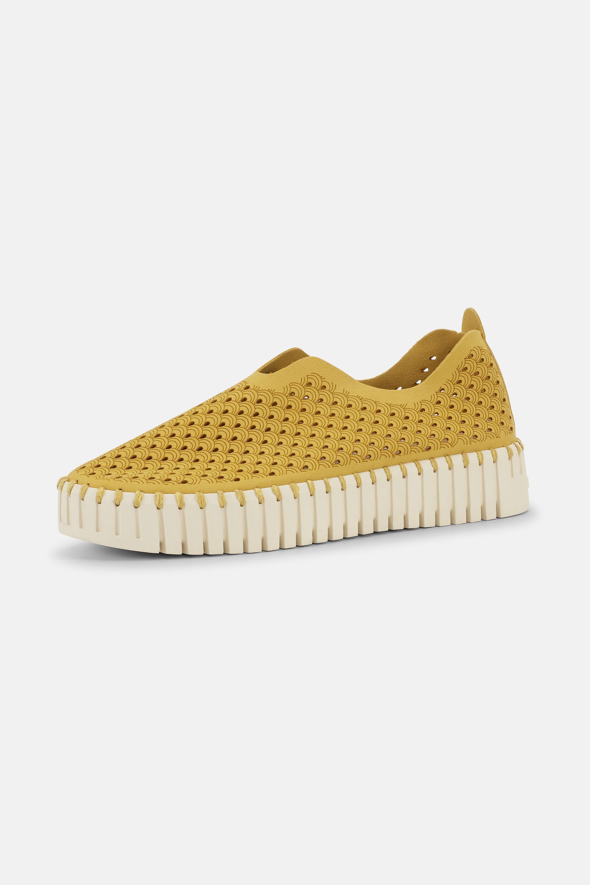 Platform Tulip Flats - Golden Rod