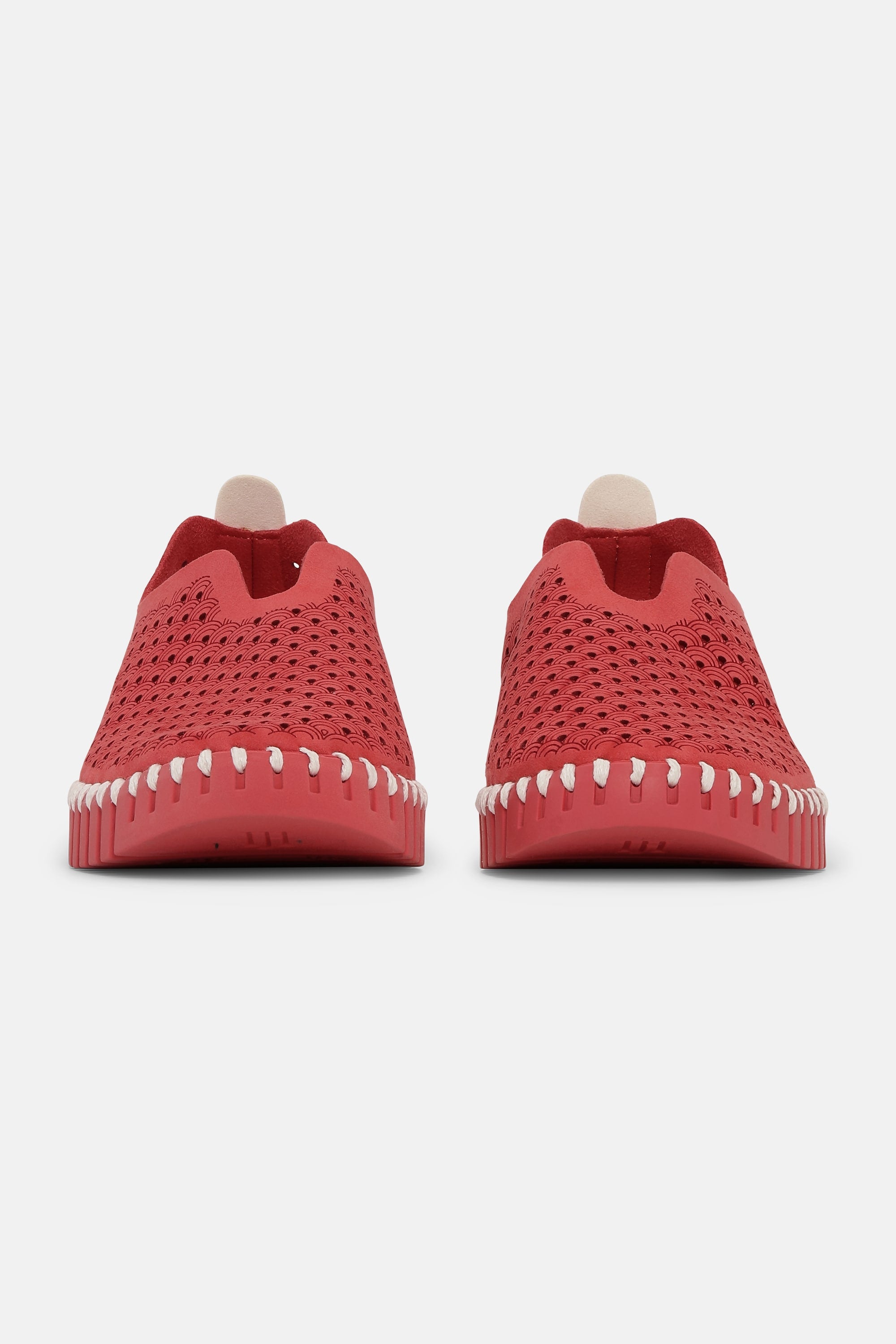 Tulip Flats - Baked Apple Baked Apple