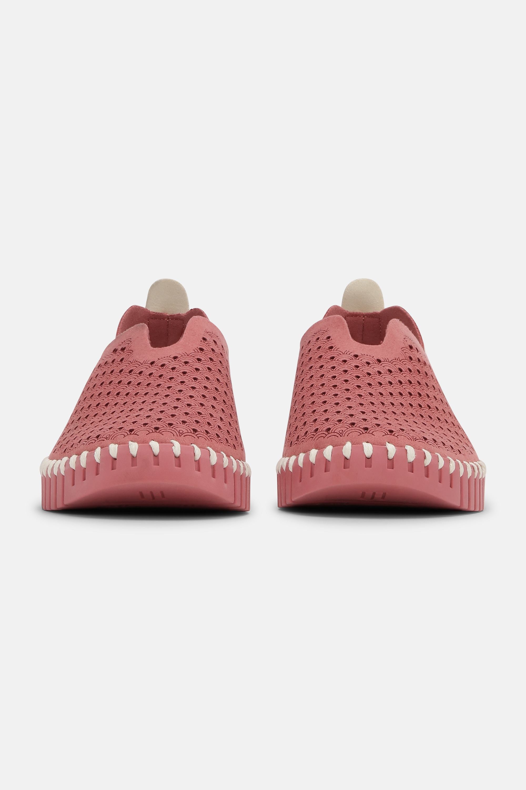 Tulip Flats - Rouge Rouge