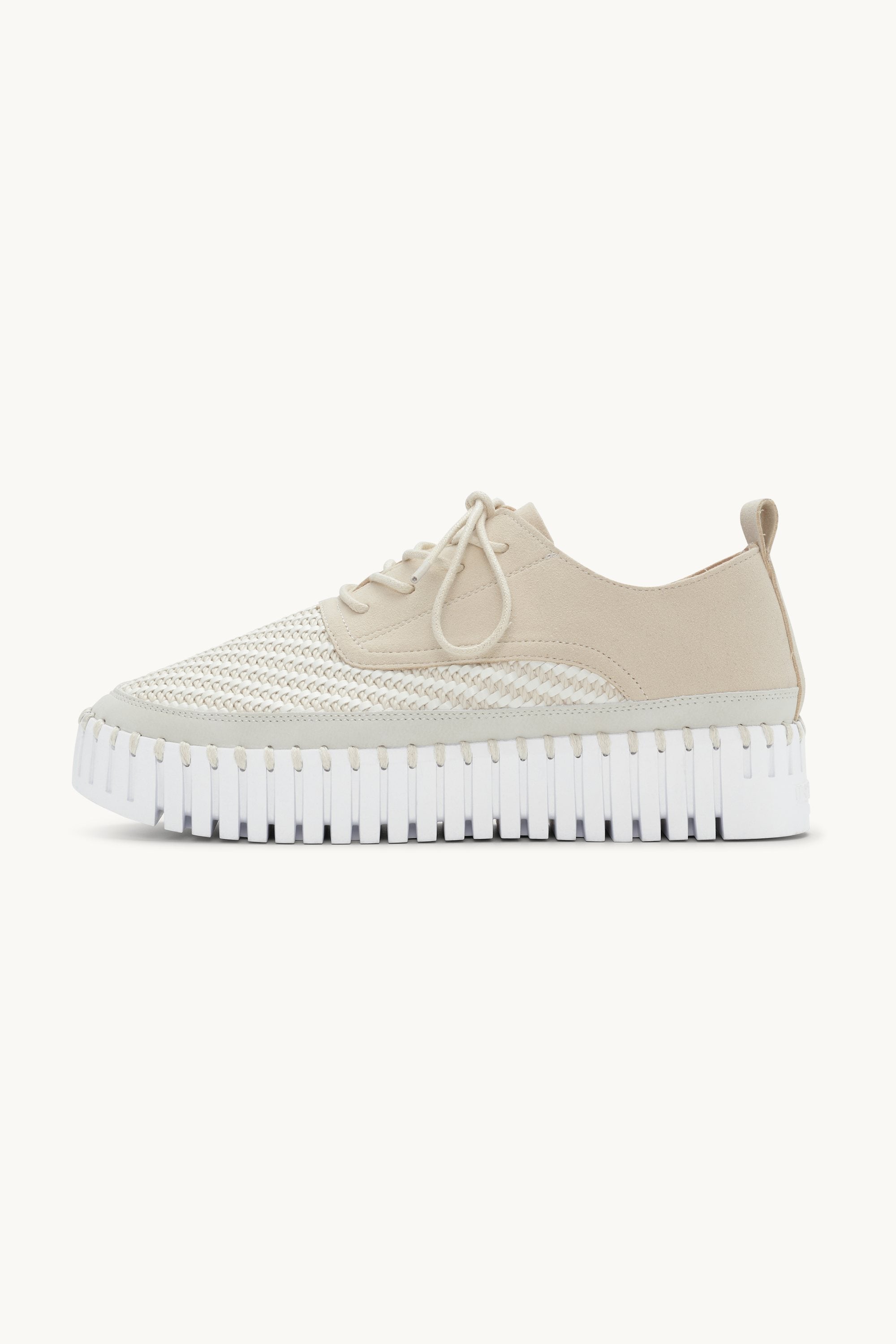 Tulip Flats With Laces - Kit White